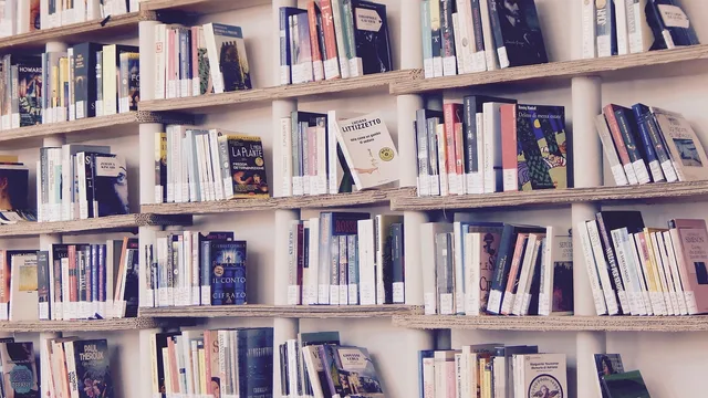 books, library, read, shelves, shelf, reading, culture, book, edition, books, books, books, books, books, library, library, book, book. Audience research for AI marketing tools: fix the brief